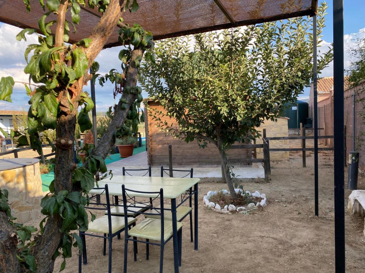 Alojamiento Rural Setenil Setenil De Las Bodegas Exterior foto